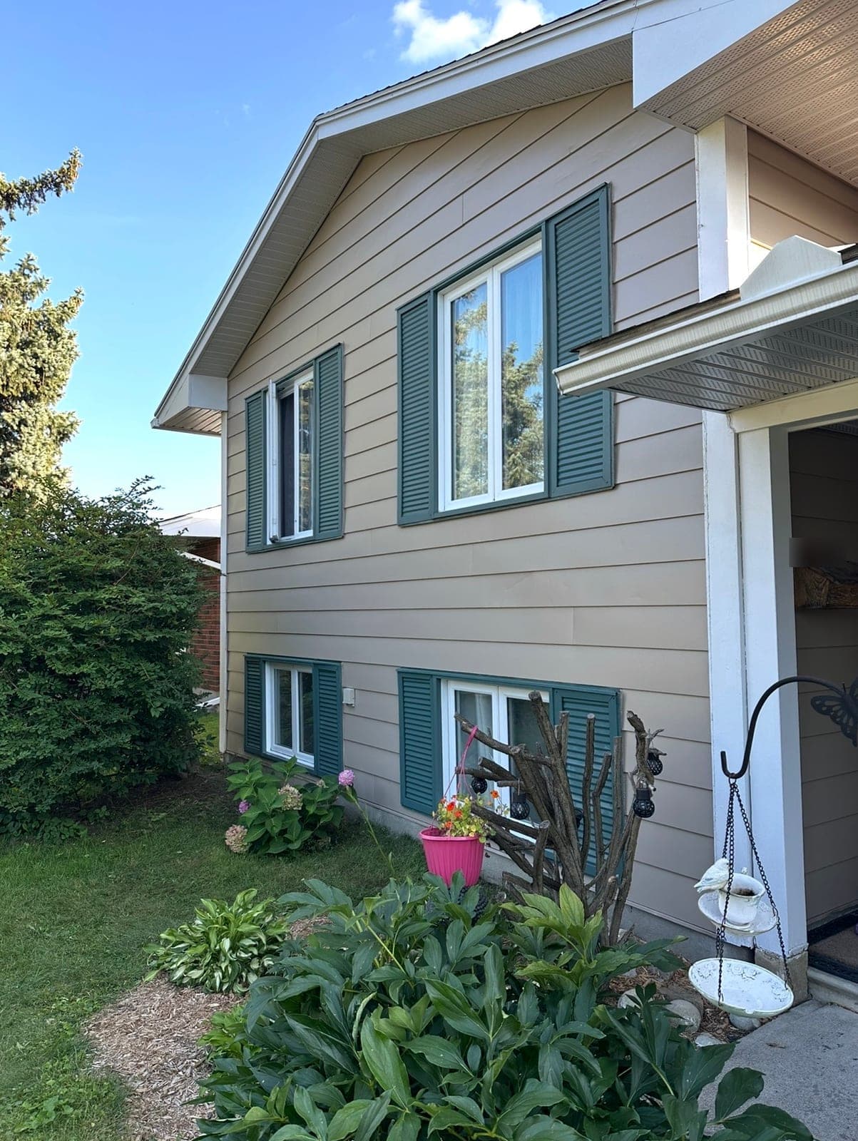 The side of a house with tan horizontal siding, white windows framed by green louvred shutters, and garden plants in front